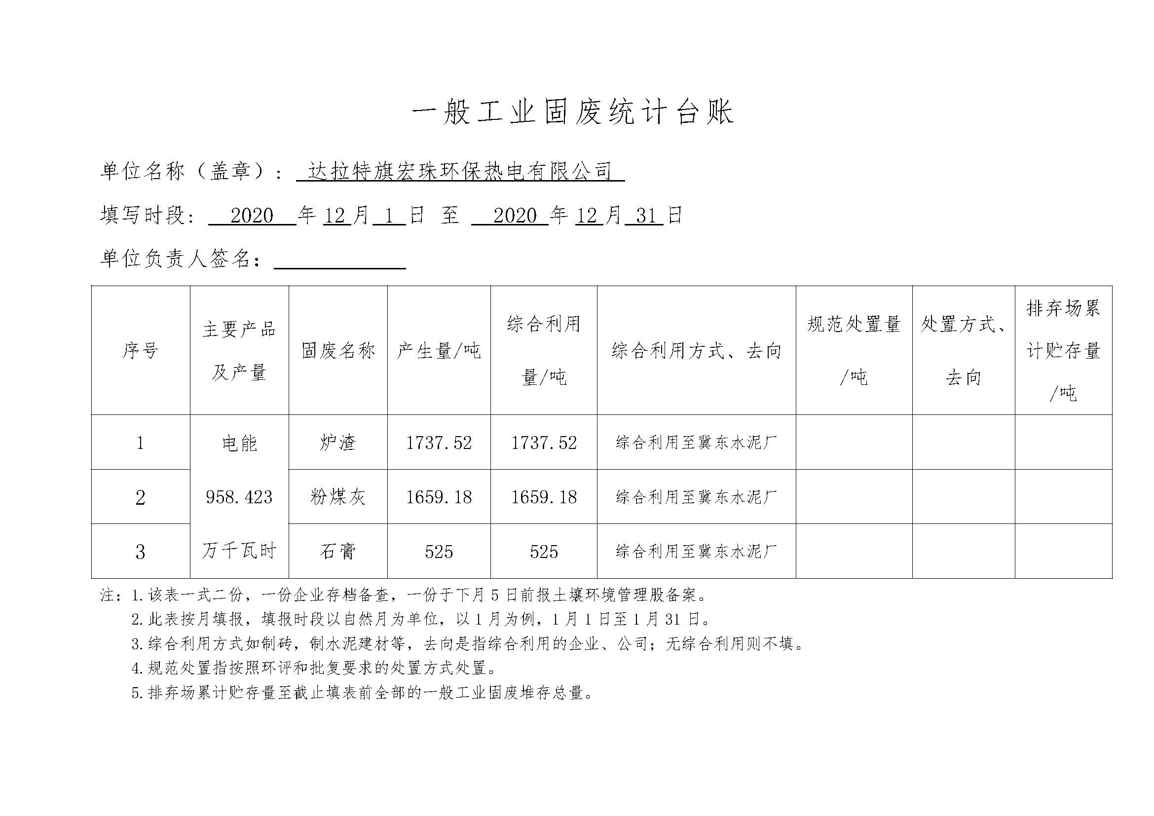 宏珠热电一般工业固废统计台账_页面_12.jpg
